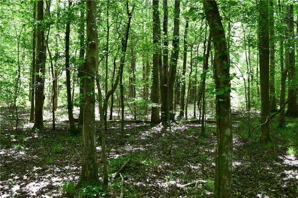 Image 21 of property listing at 00001 Wilson Road, Temple, GA 30179