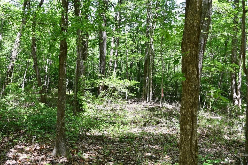 Image 22 of property listing at 00001 Wilson Road, Temple, GA 30179