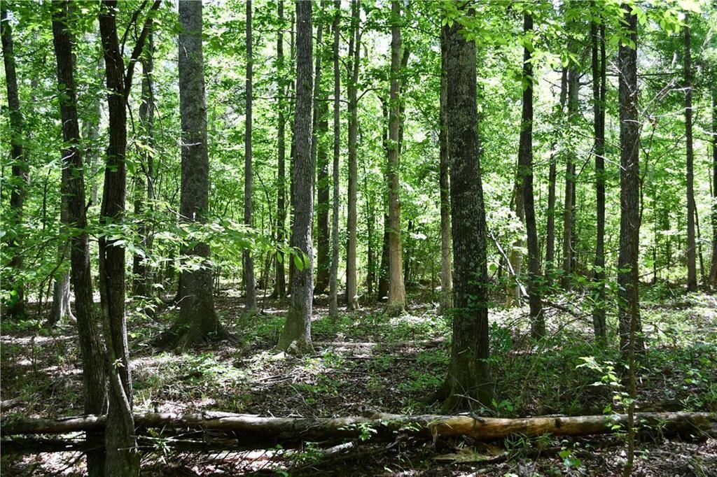 Image 23 of property listing at 00001 Wilson Road, Temple, GA 30179