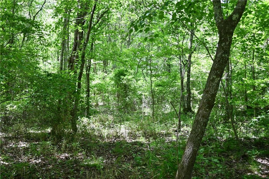 Image 24 of property listing at 00001 Wilson Road, Temple, GA 30179