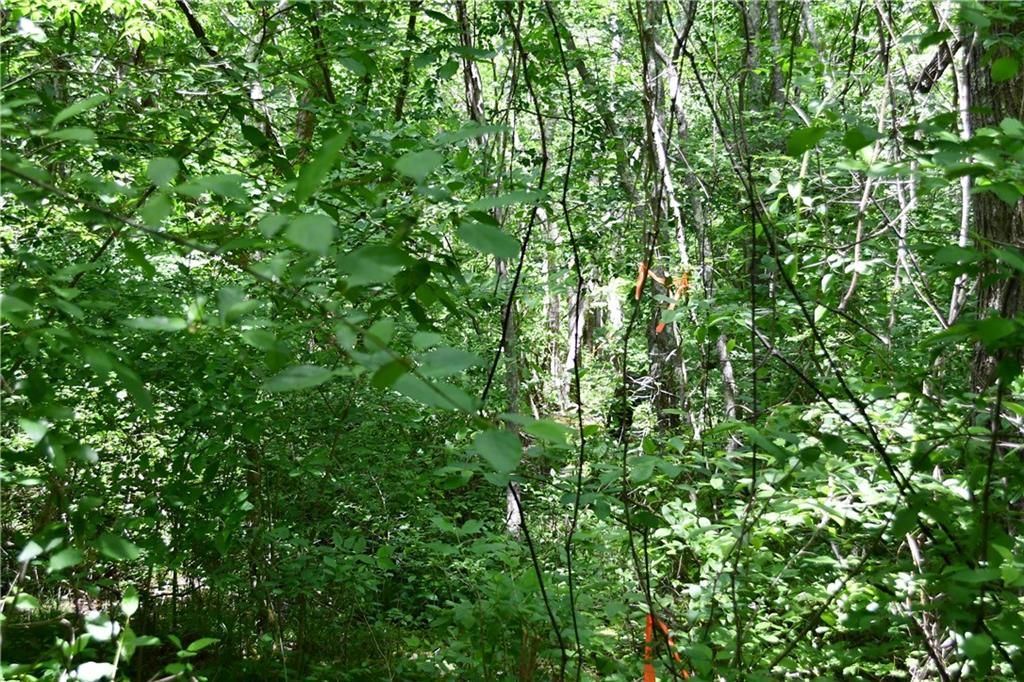 Image 26 of property listing at 00001 Wilson Road, Temple, GA 30179