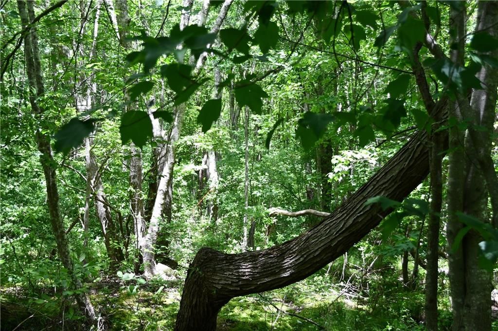 Image 27 of property listing at 00001 Wilson Road, Temple, GA 30179