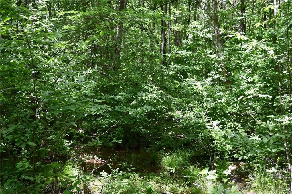 Image 28 of property listing at 00001 Wilson Road, Temple, GA 30179