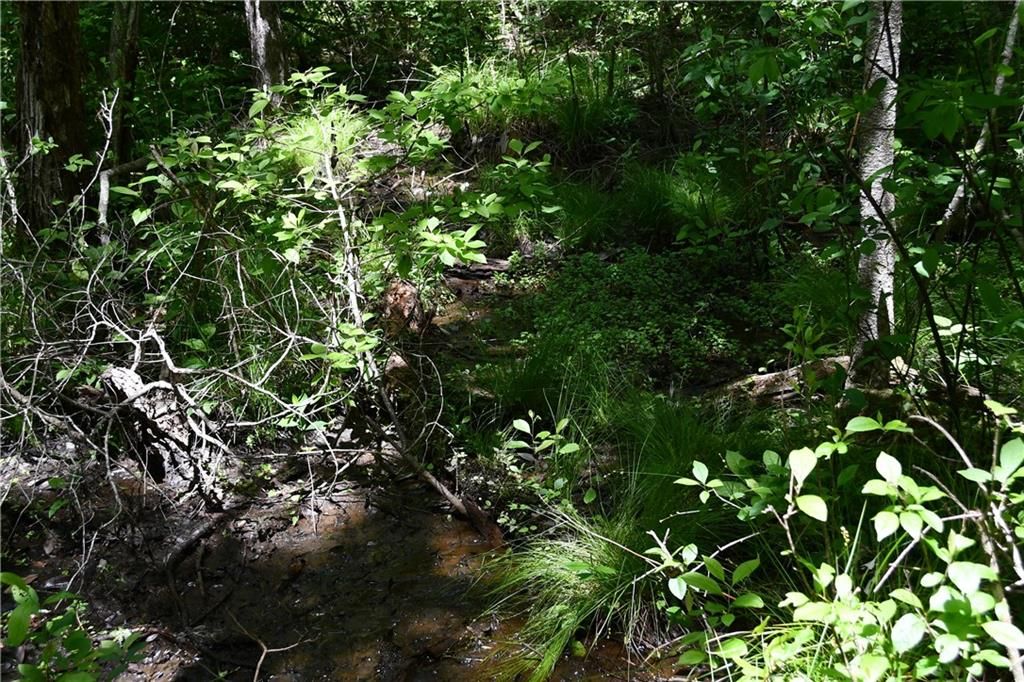Image 29 of property listing at 00001 Wilson Road, Temple, GA 30179