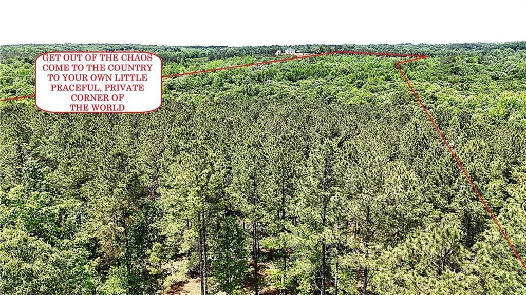 Image 3 of property listing at 00001 Wilson Road, Temple, GA 30179