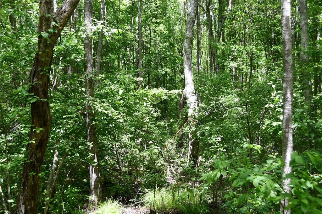 Image 30 of property listing at 00001 Wilson Road, Temple, GA 30179