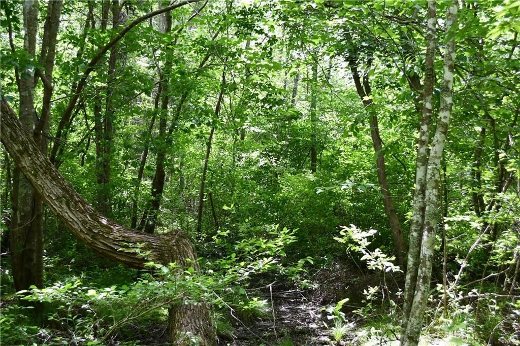 Image 31 of property listing at 00001 Wilson Road, Temple, GA 30179