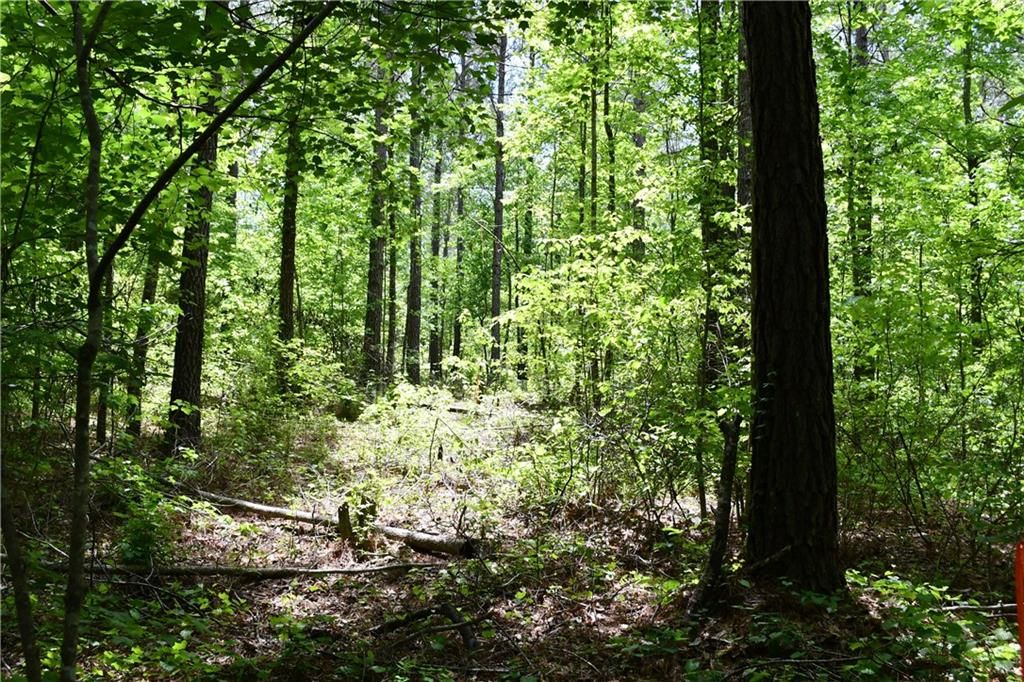 Image 34 of property listing at 00001 Wilson Road, Temple, GA 30179