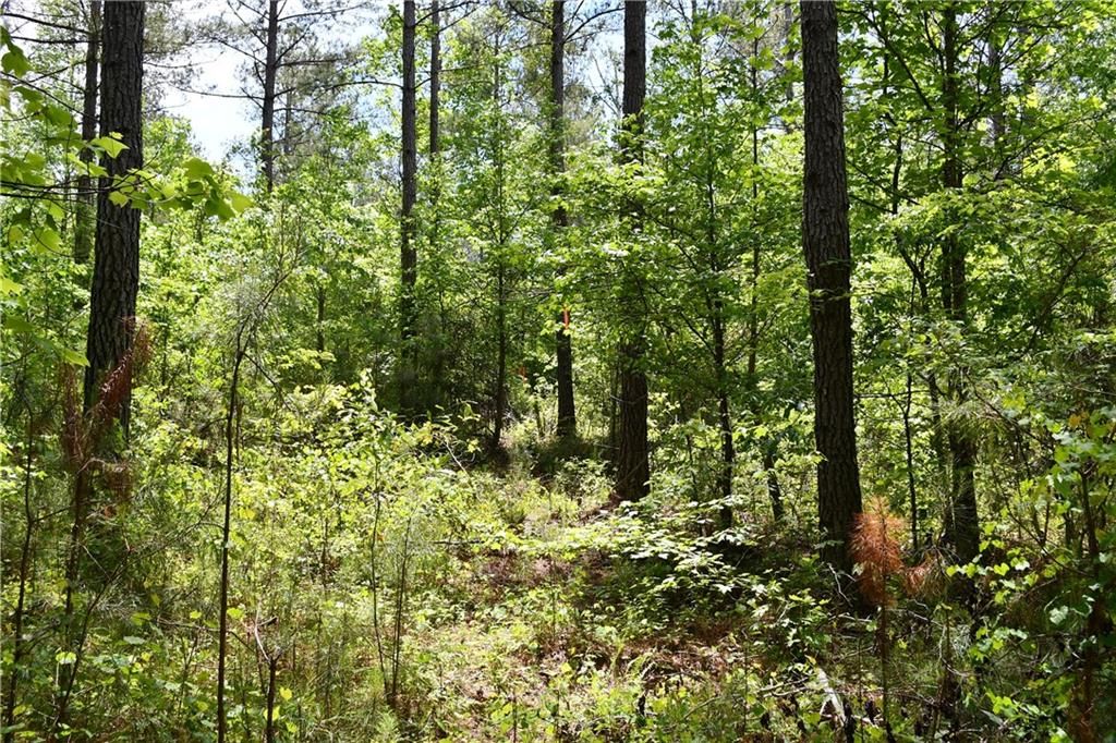 Image 35 of property listing at 00001 Wilson Road, Temple, GA 30179