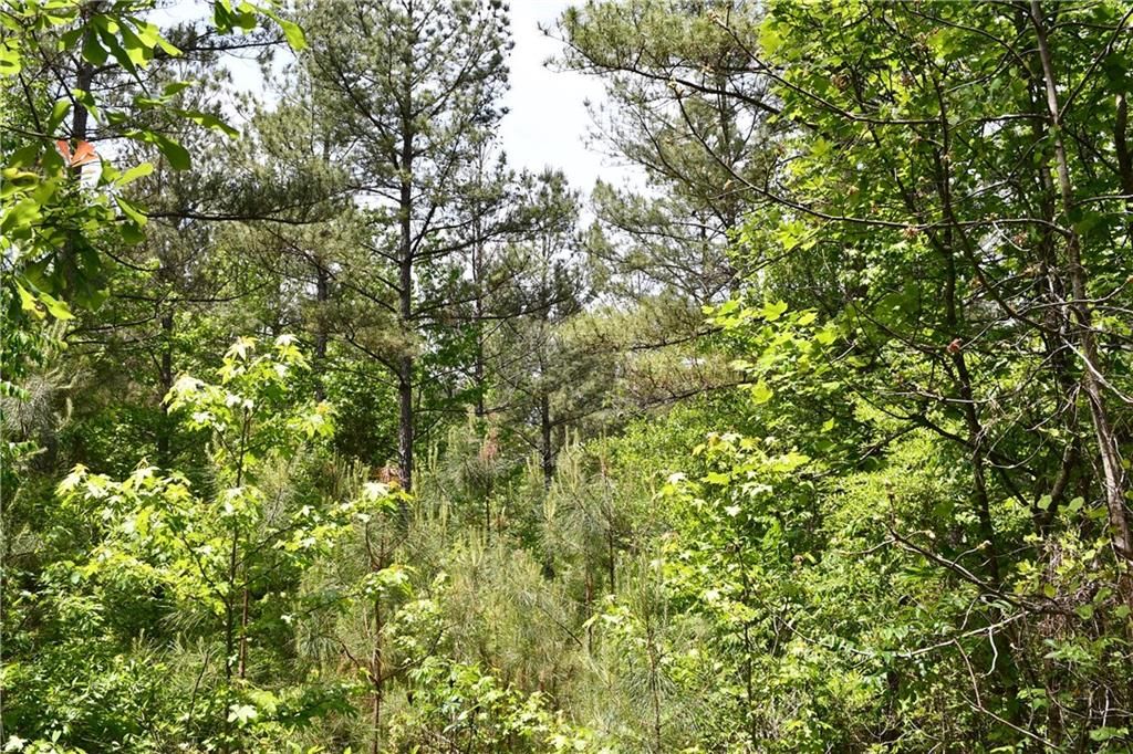 Image 36 of property listing at 00001 Wilson Road, Temple, GA 30179
