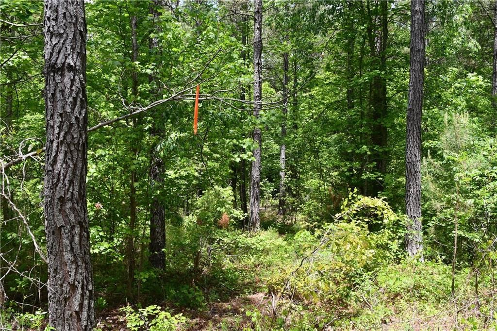 Image 37 of property listing at 00001 Wilson Road, Temple, GA 30179