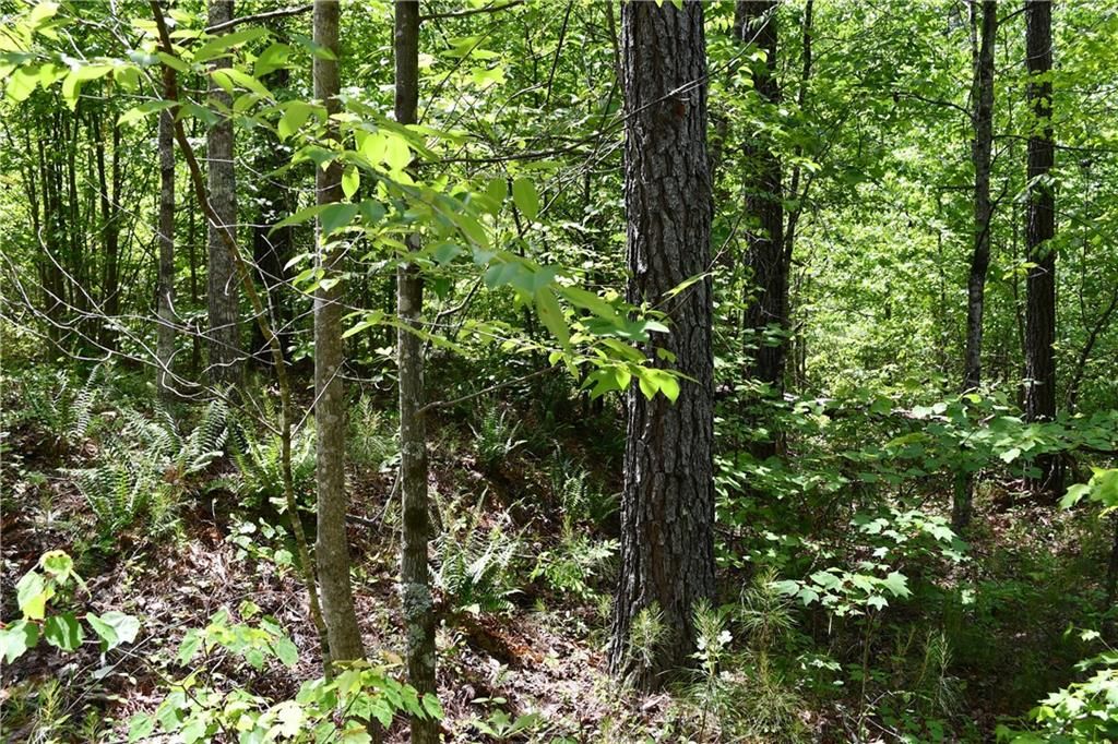 Image 38 of property listing at 00001 Wilson Road, Temple, GA 30179