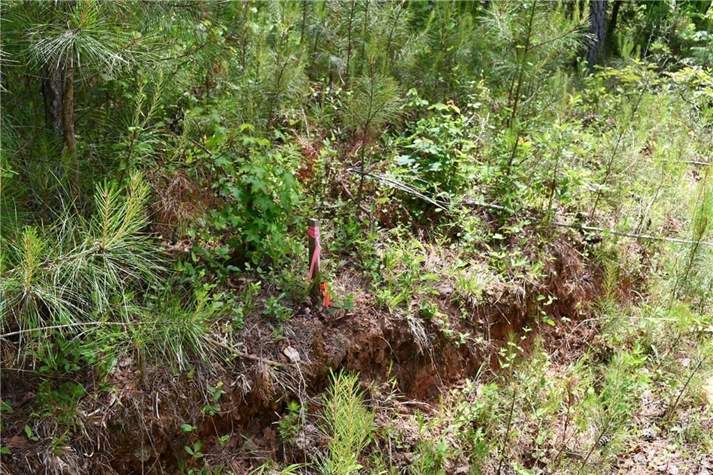 Image 39 of property listing at 00001 Wilson Road, Temple, GA 30179