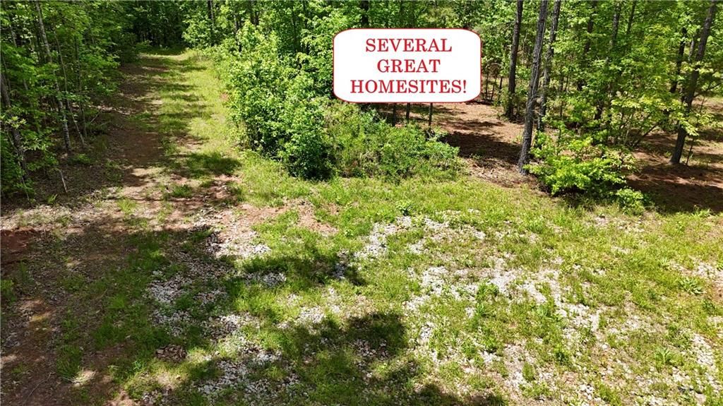 Image 4 of property listing at 00001 Wilson Road, Temple, GA 30179