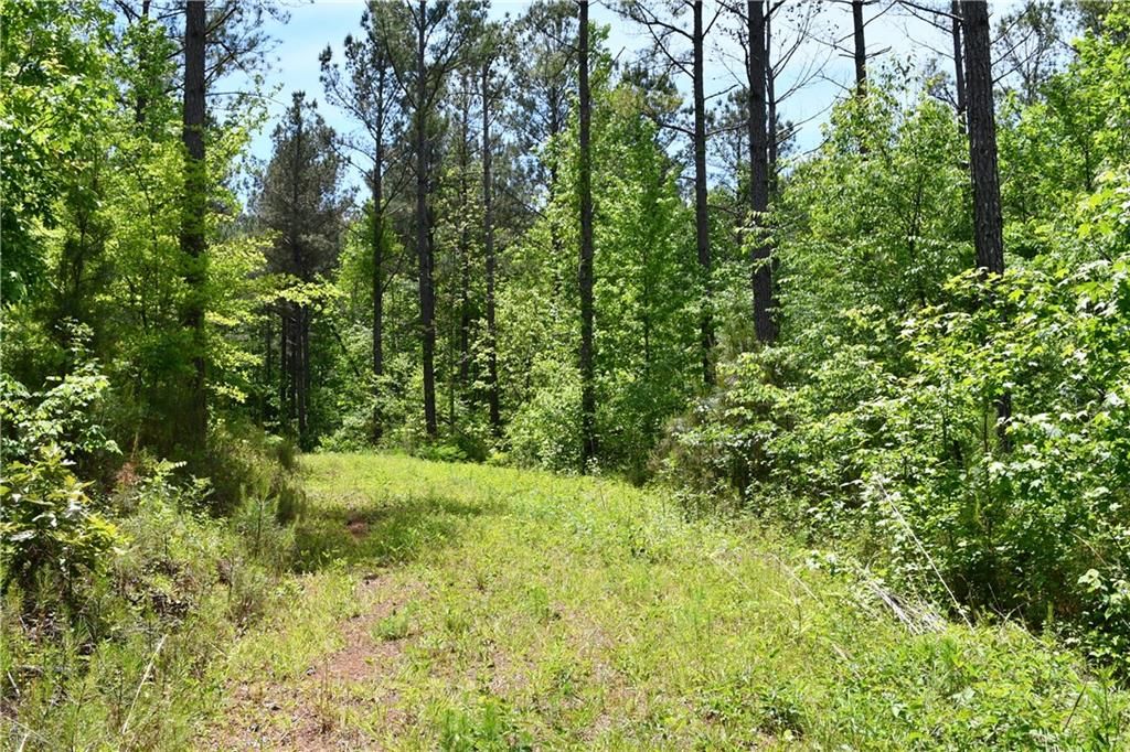 Image 40 of property listing at 00001 Wilson Road, Temple, GA 30179