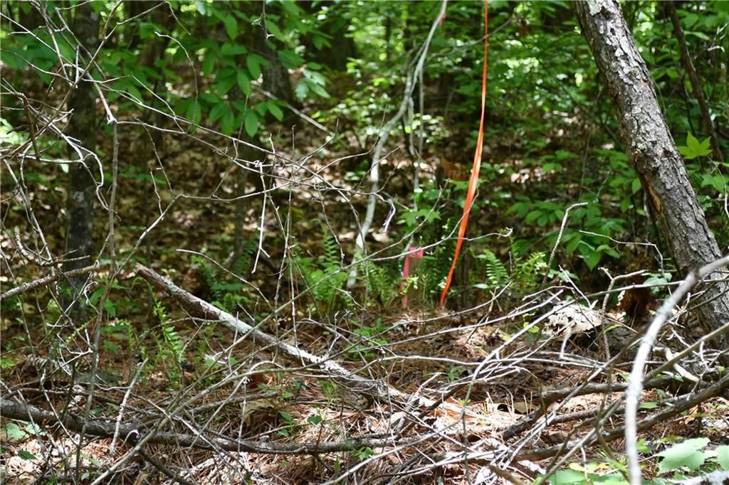 Image 41 of property listing at 00001 Wilson Road, Temple, GA 30179