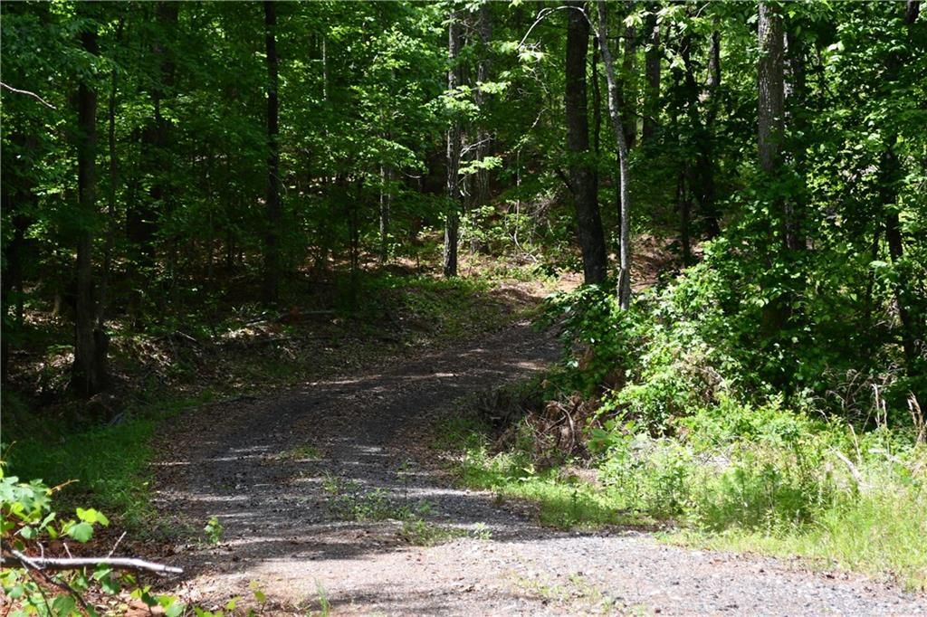 Image 42 of property listing at 00001 Wilson Road, Temple, GA 30179