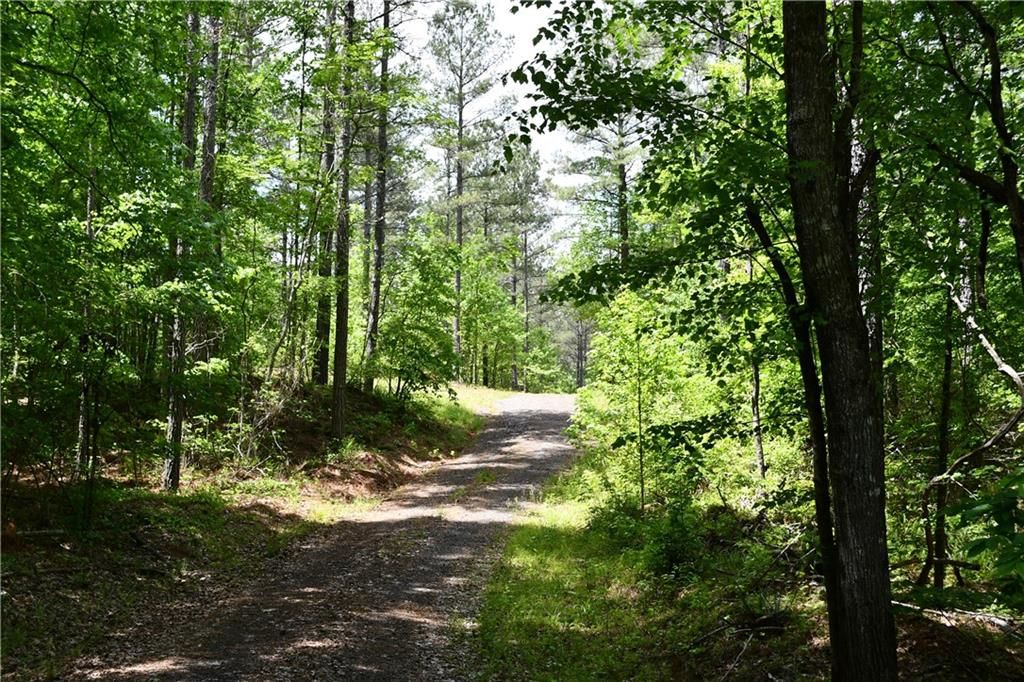 Image 43 of property listing at 00001 Wilson Road, Temple, GA 30179