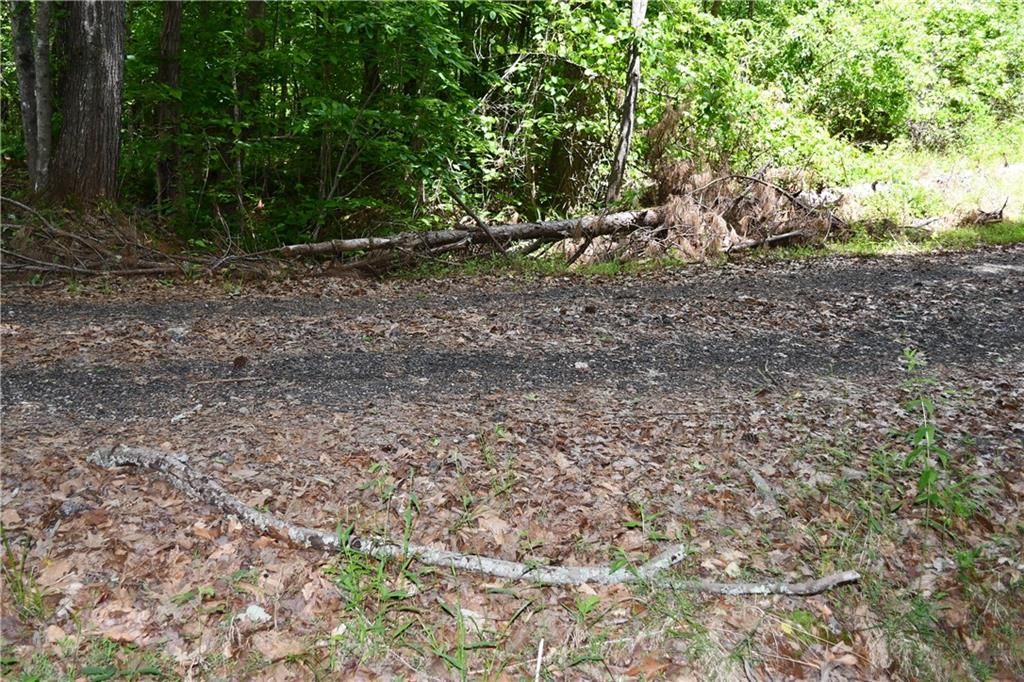 Image 45 of property listing at 00001 Wilson Road, Temple, GA 30179