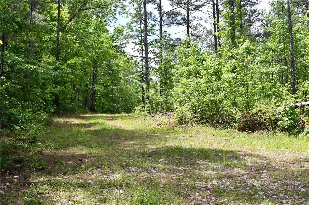 Image 46 of property listing at 00001 Wilson Road, Temple, GA 30179