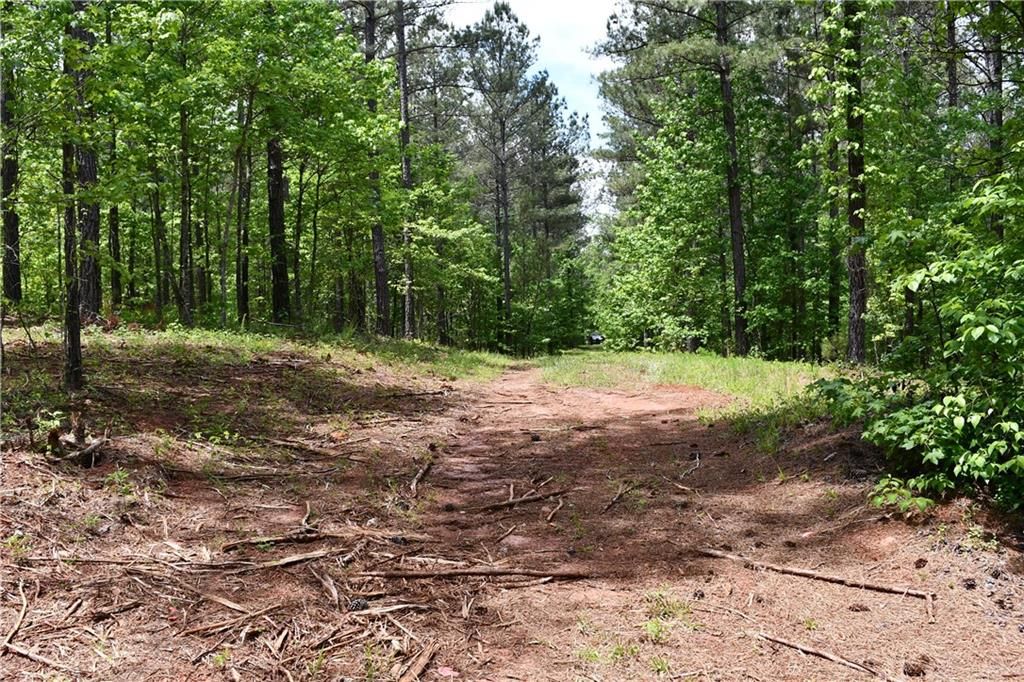Image 47 of property listing at 00001 Wilson Road, Temple, GA 30179