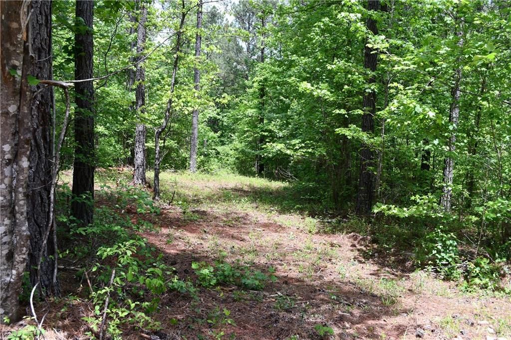 Image 49 of property listing at 00001 Wilson Road, Temple, GA 30179