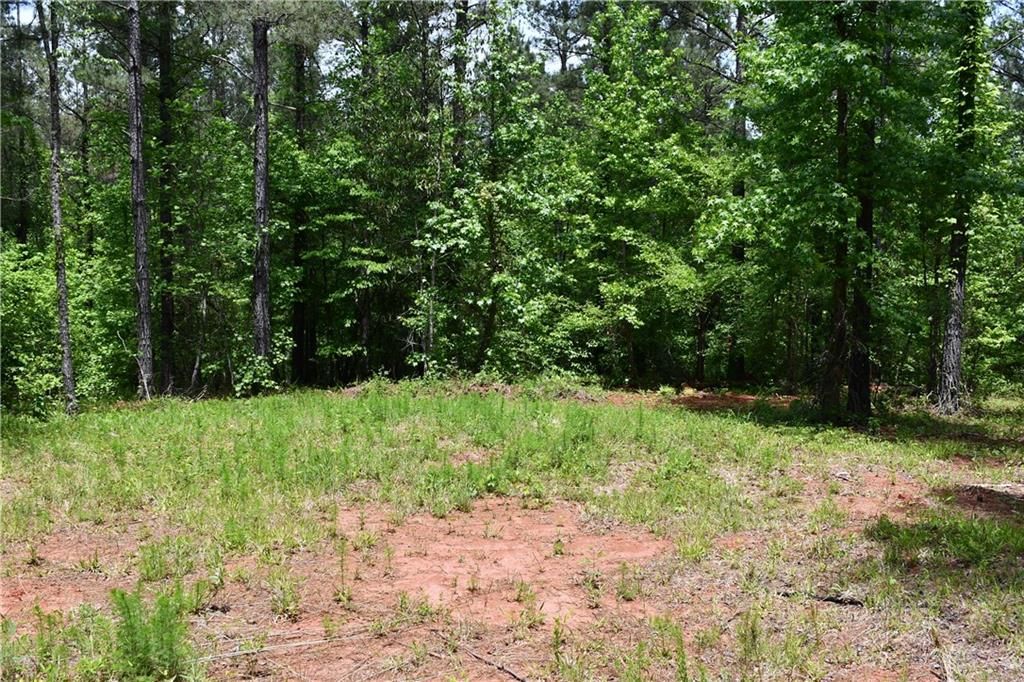 Image 50 of property listing at 00001 Wilson Road, Temple, GA 30179