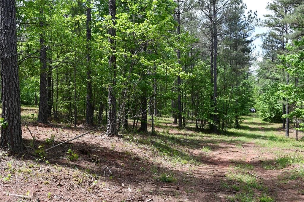 Image 51 of property listing at 00001 Wilson Road, Temple, GA 30179