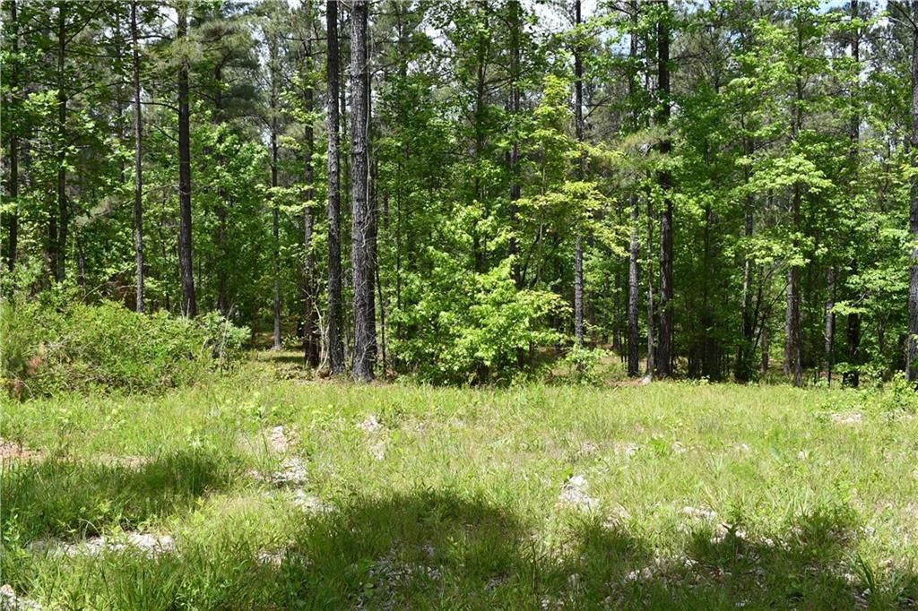 Image 52 of property listing at 00001 Wilson Road, Temple, GA 30179