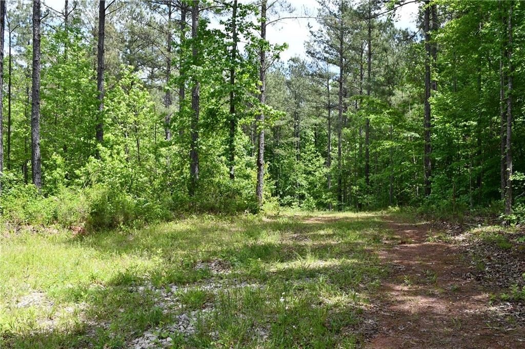 Image 53 of property listing at 00001 Wilson Road, Temple, GA 30179