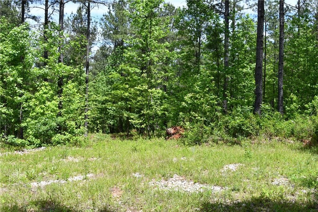 Image 54 of property listing at 00001 Wilson Road, Temple, GA 30179
