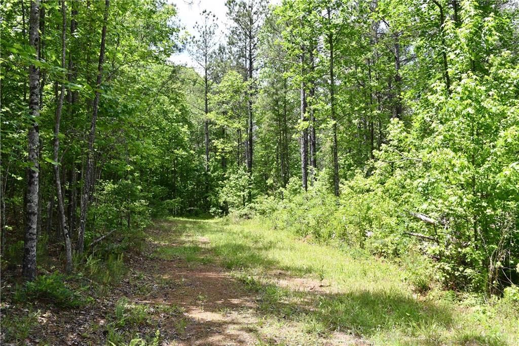 Image 55 of property listing at 00001 Wilson Road, Temple, GA 30179