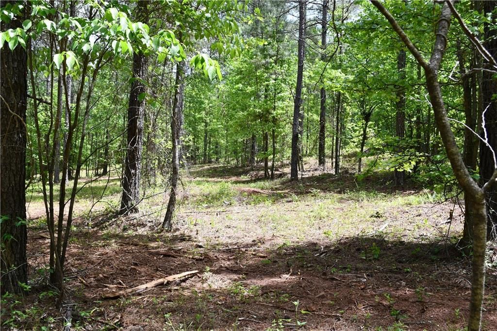Image 56 of property listing at 00001 Wilson Road, Temple, GA 30179