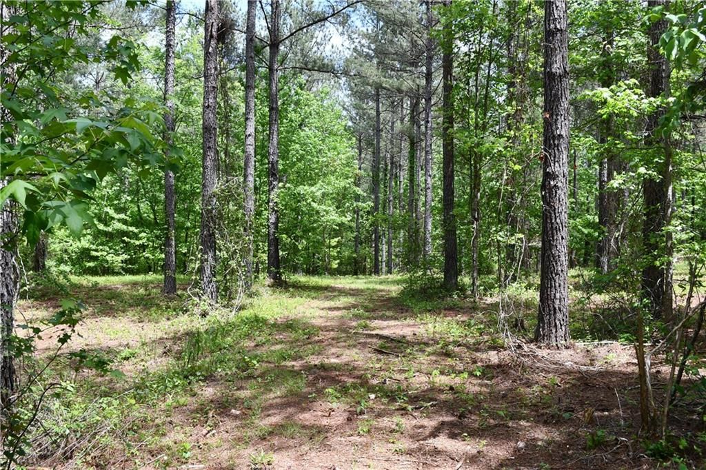 Image 57 of property listing at 00001 Wilson Road, Temple, GA 30179