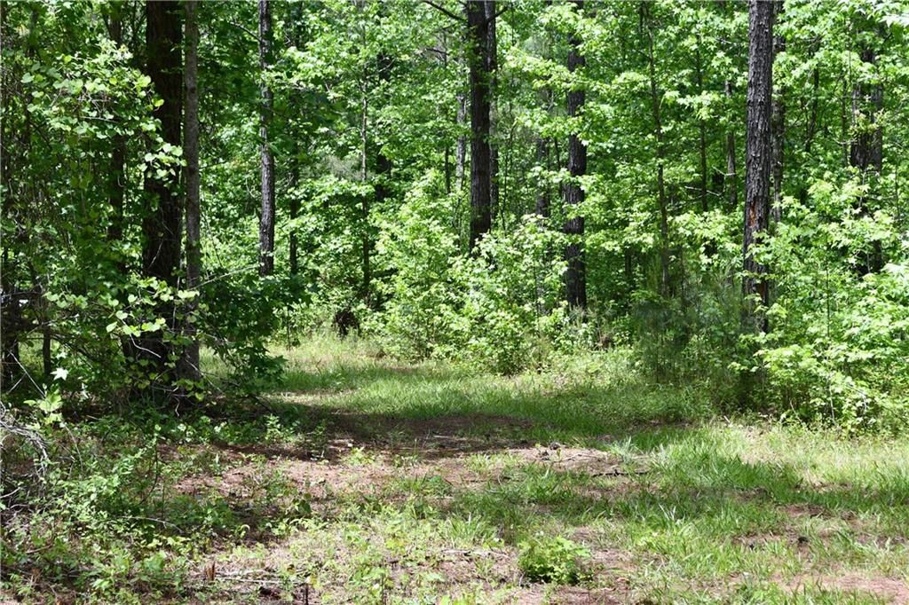 Image 58 of property listing at 00001 Wilson Road, Temple, GA 30179