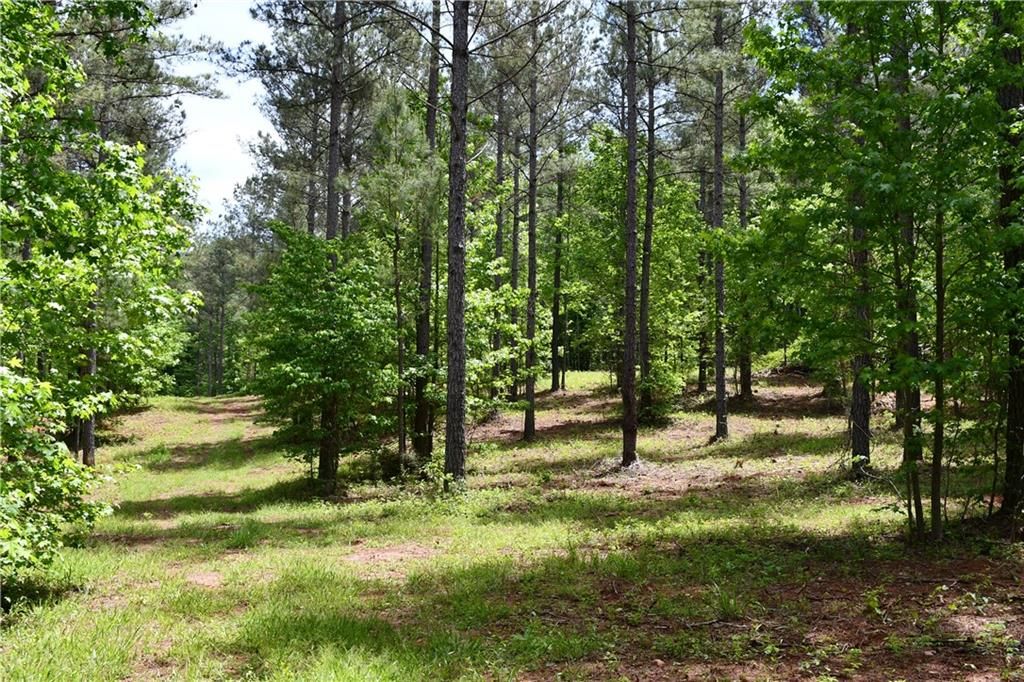 Image 59 of property listing at 00001 Wilson Road, Temple, GA 30179