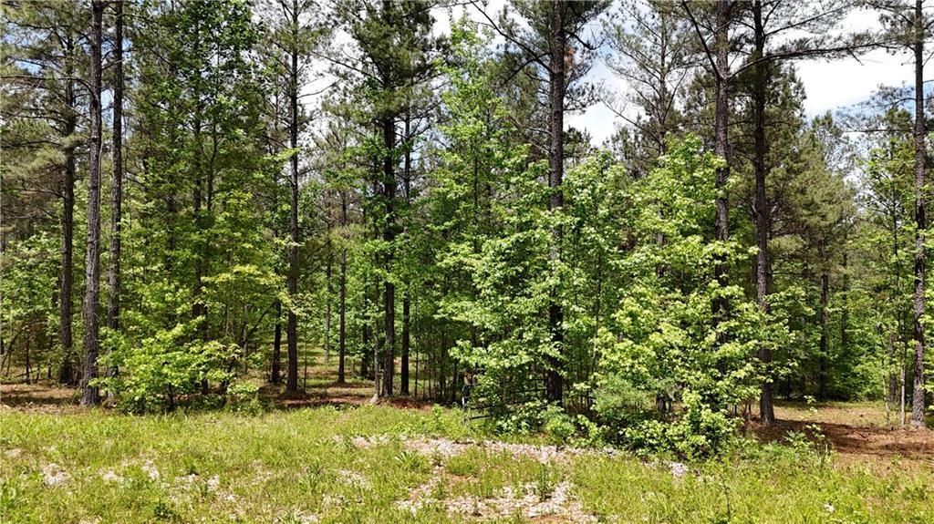 Image 60 of property listing at 00001 Wilson Road, Temple, GA 30179