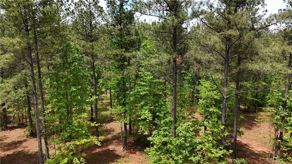 Image 61 of property listing at 00001 Wilson Road, Temple, GA 30179