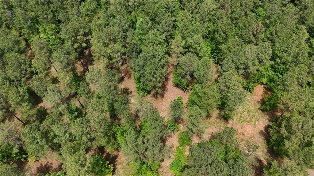 Image 62 of property listing at 00001 Wilson Road, Temple, GA 30179