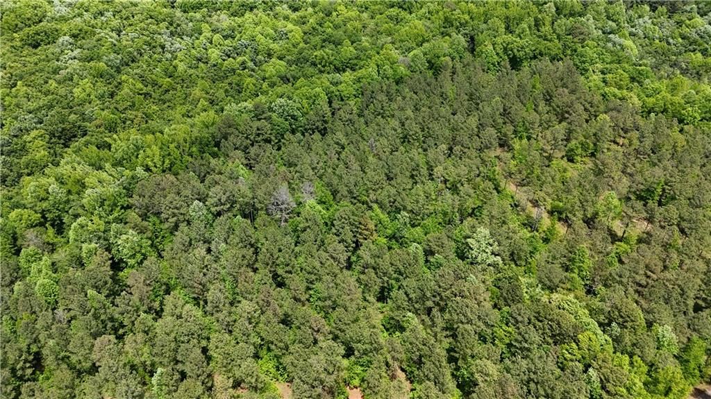 Image 63 of property listing at 00001 Wilson Road, Temple, GA 30179