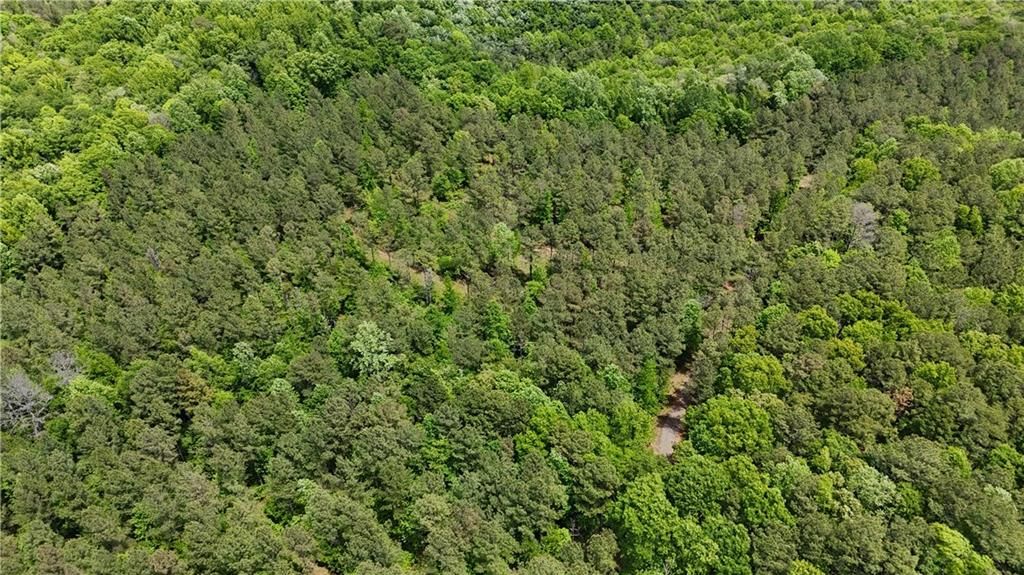 Image 64 of property listing at 00001 Wilson Road, Temple, GA 30179