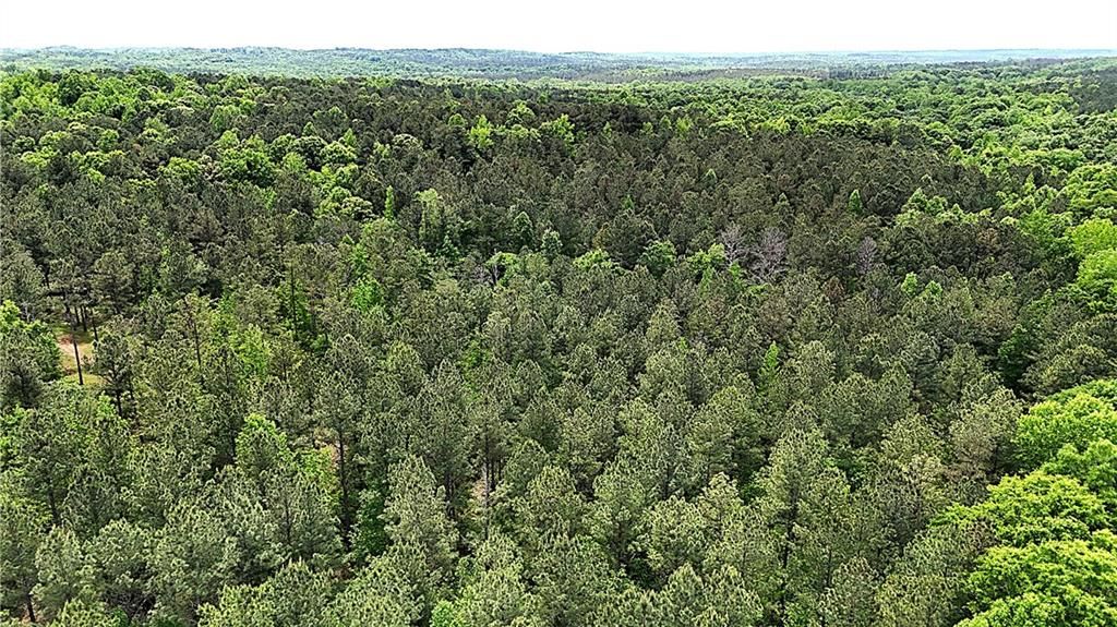 Image 69 of property listing at 00001 Wilson Road, Temple, GA 30179