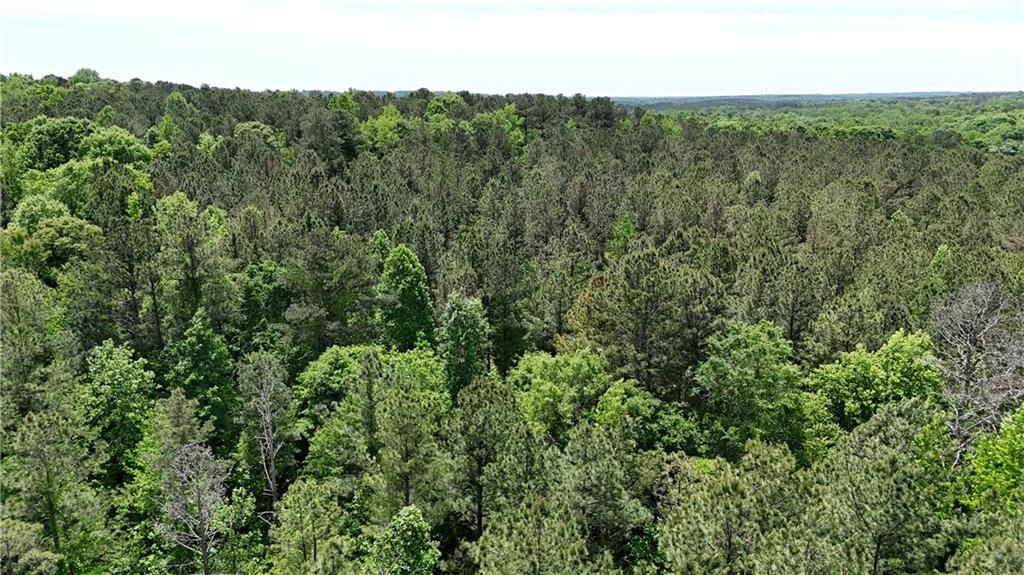 Image 70 of property listing at 00001 Wilson Road, Temple, GA 30179
