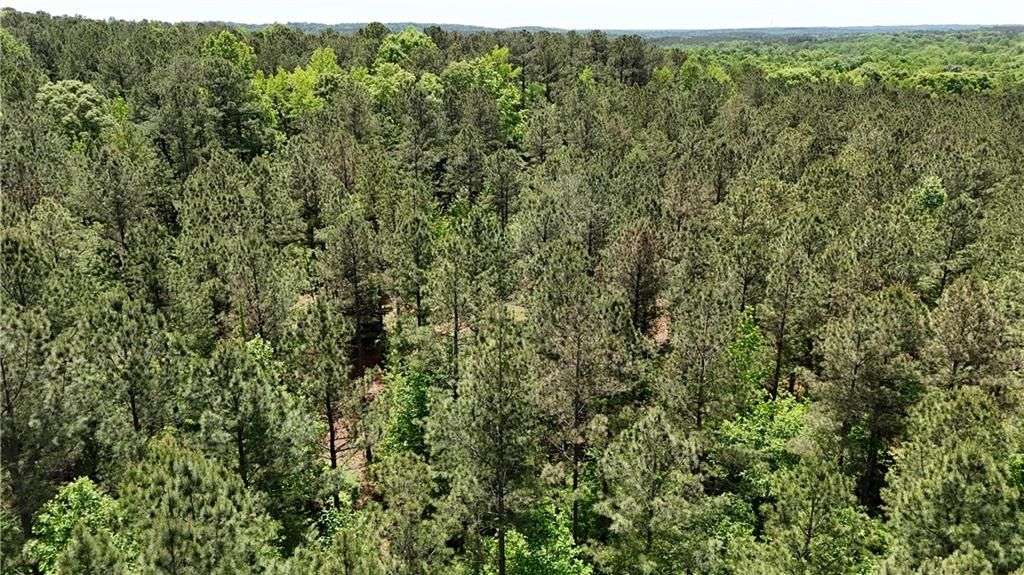Image 71 of property listing at 00001 Wilson Road, Temple, GA 30179