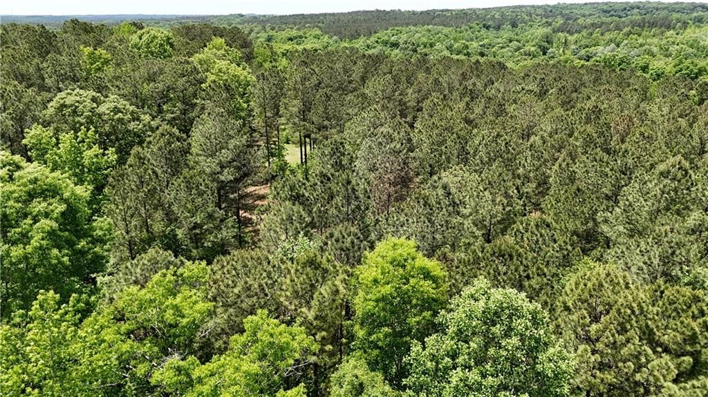 Image 72 of property listing at 00001 Wilson Road, Temple, GA 30179