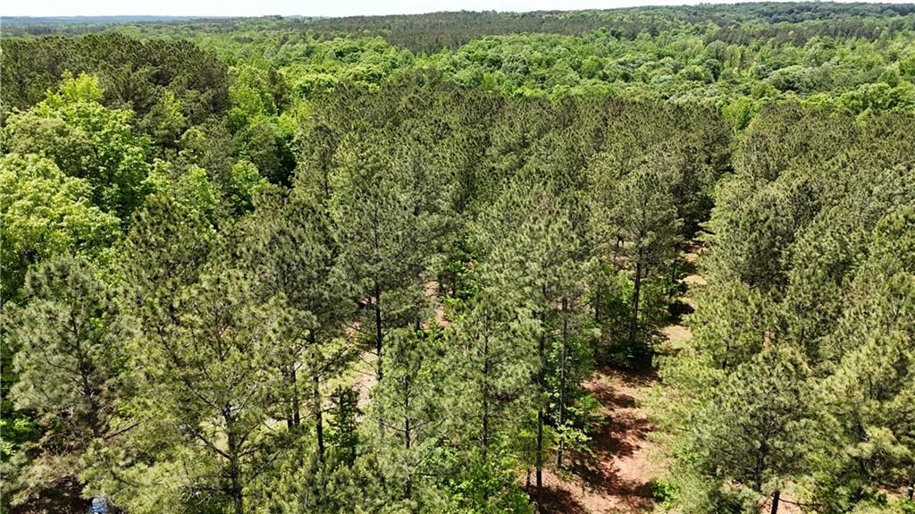 Image 73 of property listing at 00001 Wilson Road, Temple, GA 30179