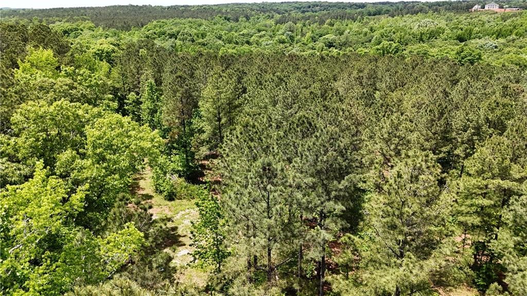 Image 74 of property listing at 00001 Wilson Road, Temple, GA 30179