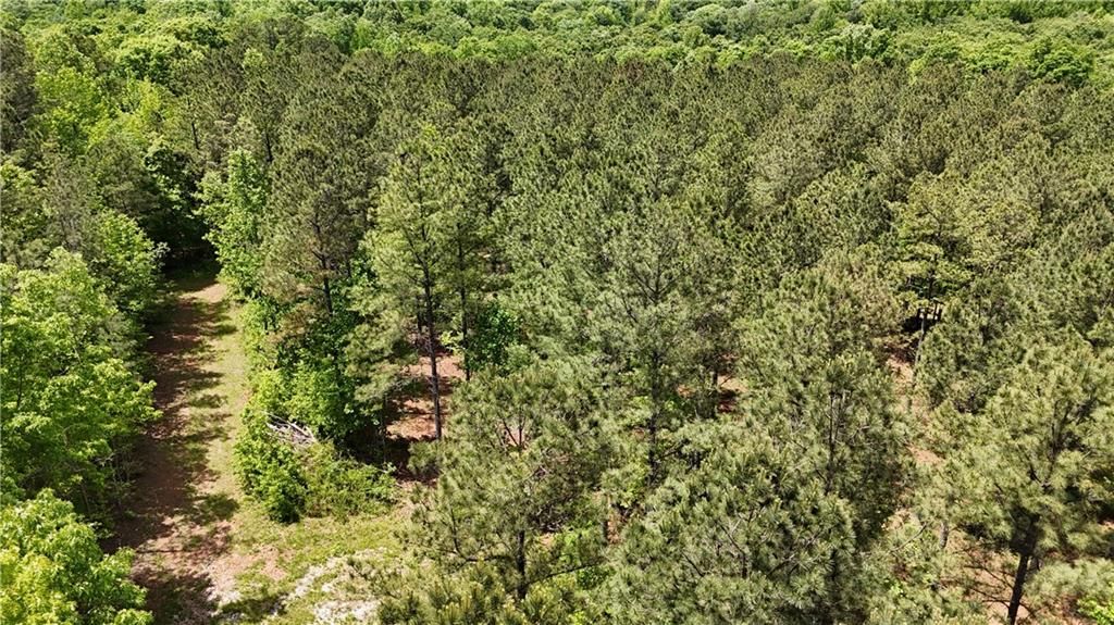 Image 75 of property listing at 00001 Wilson Road, Temple, GA 30179