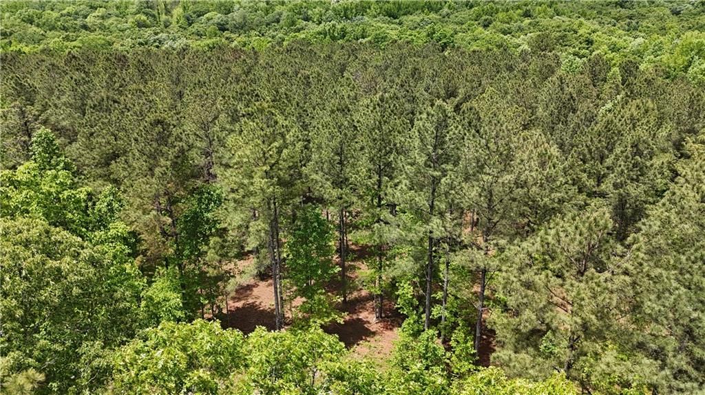Image 76 of property listing at 00001 Wilson Road, Temple, GA 30179