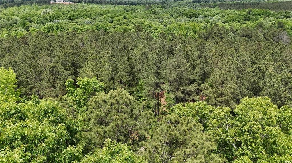 Image 78 of property listing at 00001 Wilson Road, Temple, GA 30179